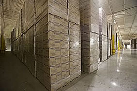 Bodega